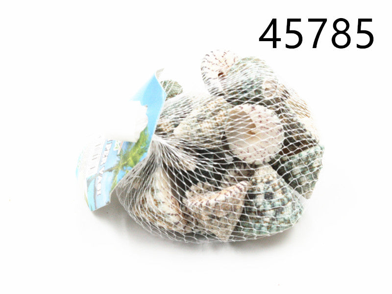 XFR45785 CONCHIGLIA