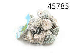 XFR45785 CONCHIGLIA