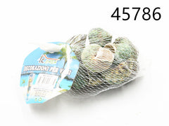 XFR45786 CONCHIGLIA