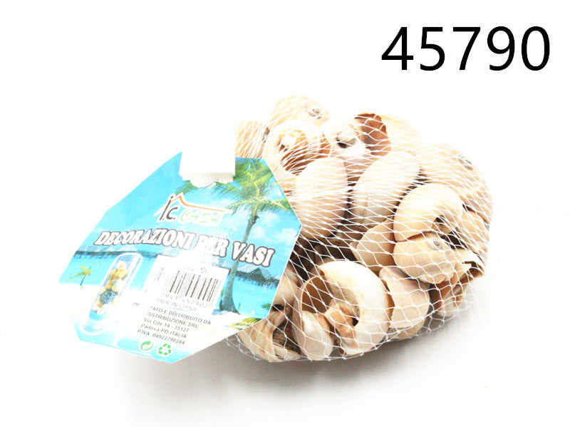 XFR45790 CONCHIGLIA