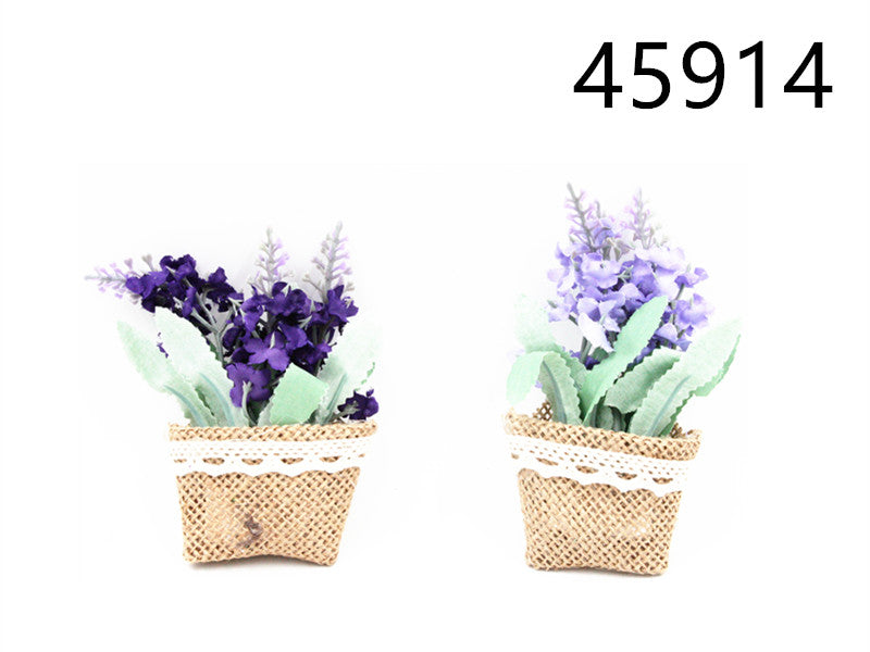 XFR45914 FIORE C/CALAMITE