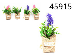 XFR45915 FIORE C/CALAMITE