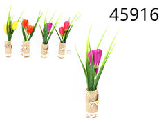 XFR45916 FIORE C/CALAMITE