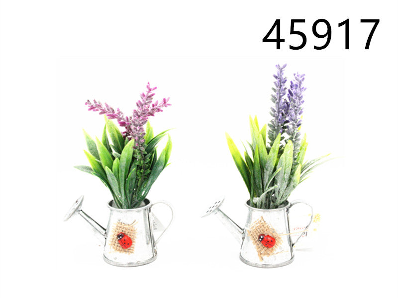 XFR45917 FIORE C/CALAMITE