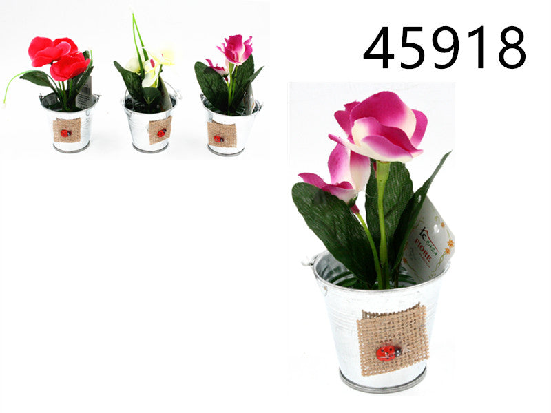 XFR45918 FIORE C/CALAMITE