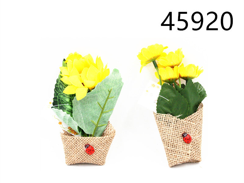 XFR45920 FIORE C/CALAMITE