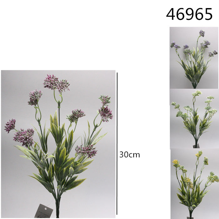 XFR46965 FIORI 30CM X5