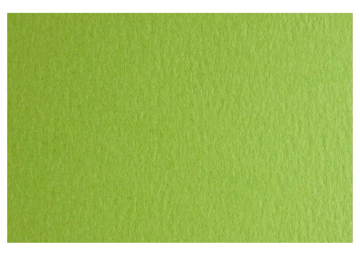 CARTONCINO COLORE GR.200 70X100 VERDE PISELLO 3230