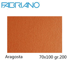 CARTONCINO COLORE GR.200 70X100 ARAGOSTA