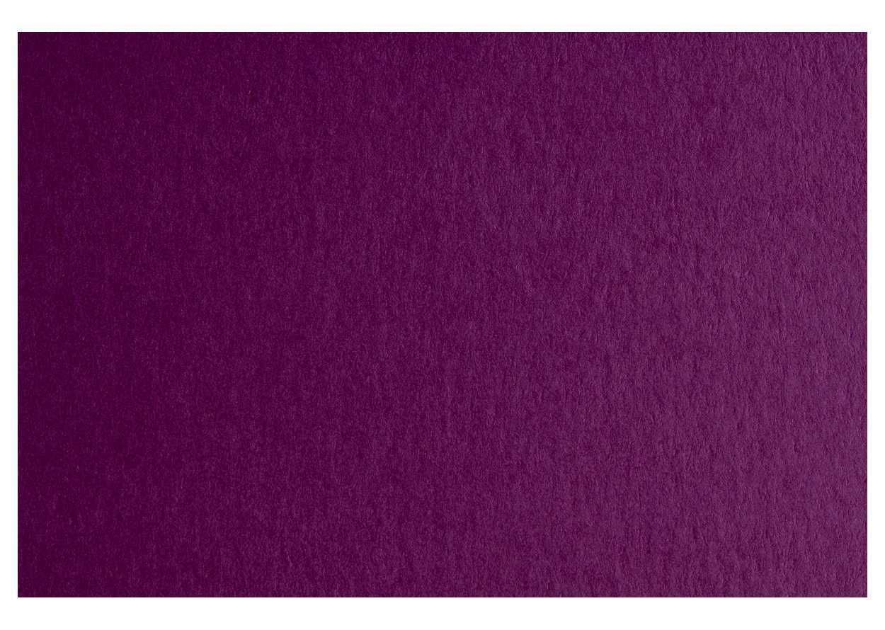 CARTONCINO COLORE GR.200 50X70 VIOLA