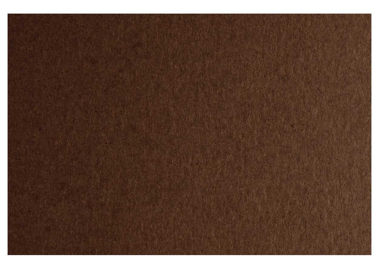 CARTONCINO COLORE GR.200  50X70 MARRONE