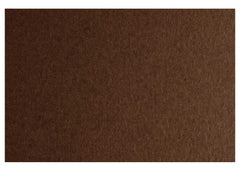 CARTONCINO COLORE GR.200  50X70 MARRONE