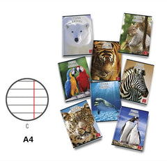 PIGNA MAXI ANIMAL 42FF/SH 0C