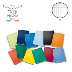 PIGNA QUADERNI MAXI MONOCROMO 42FF Q