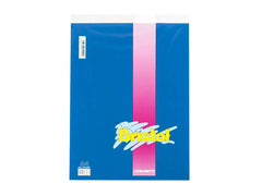BLASETTI BRISTOL BLOCK NOTES 21X30