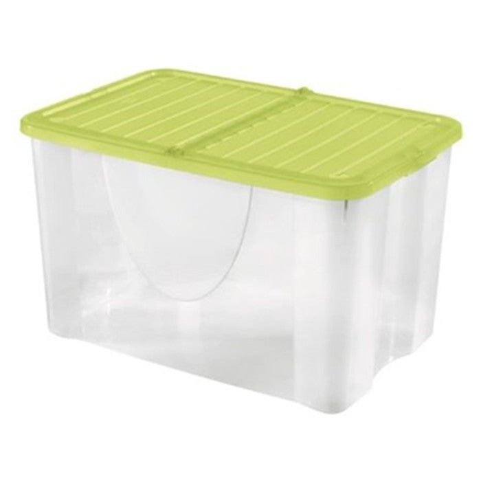 DODO BOX 60LT +COPERCHIO PIECHEVOLE 10/CT