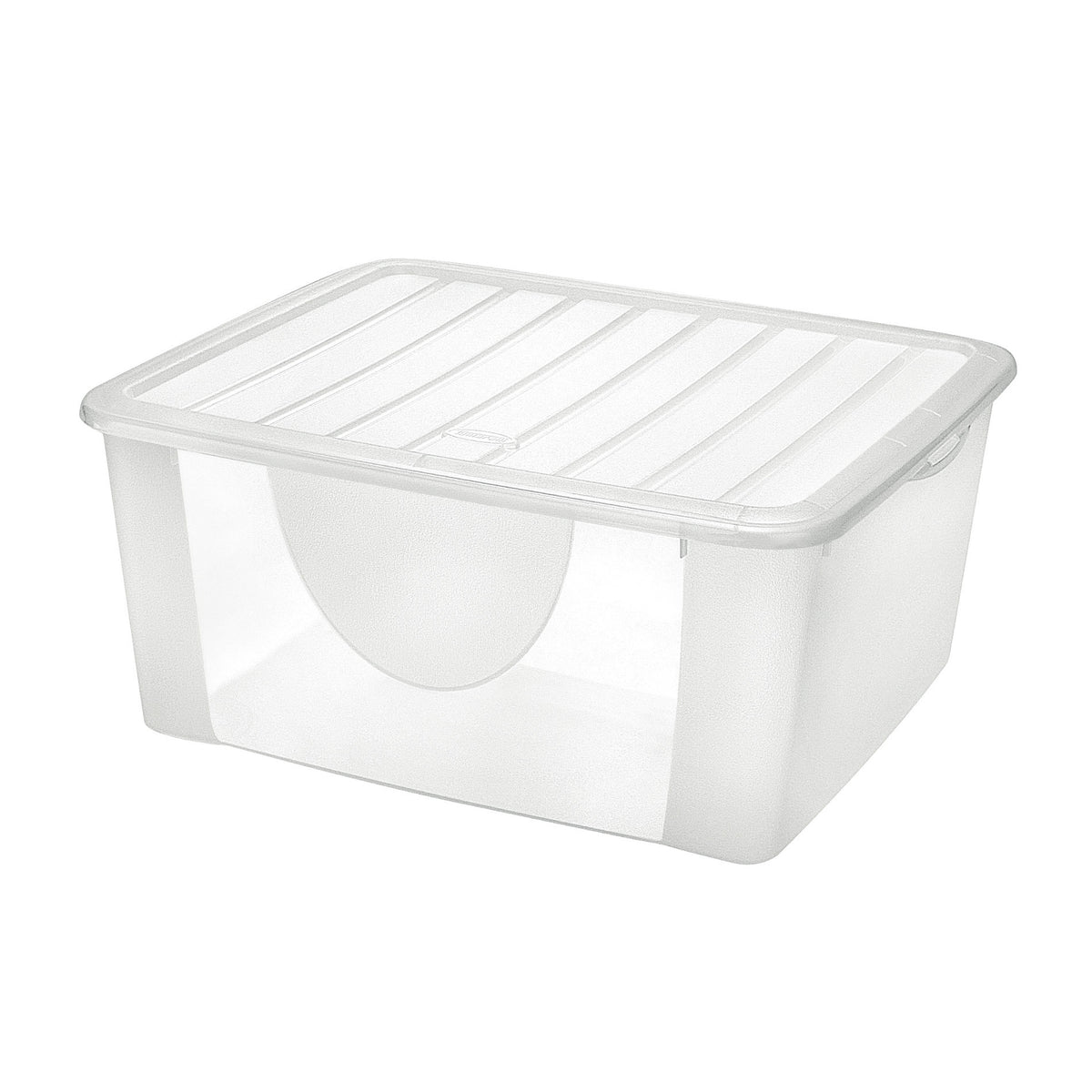 DODO'S BOX XL CON COPERCHIO TRASPARENTE