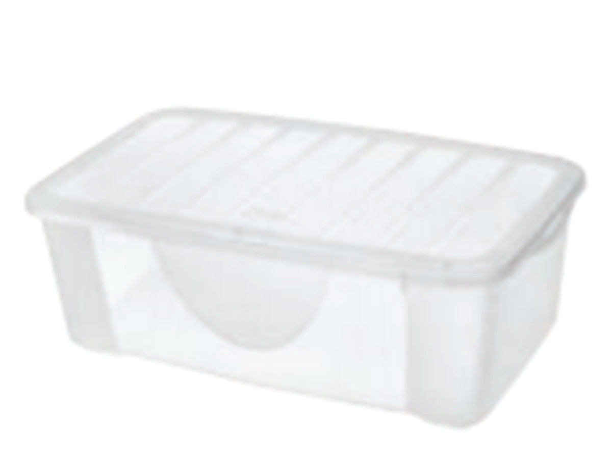 DODO'S BOX  M CON COPERCCHIO TRASP 18/CT