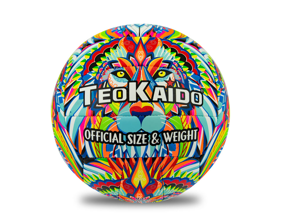TEOKAIDO - PALLONE  VOLLEY LEONE TAGLIA 5