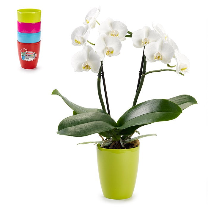 Vaso Tondo deco 12,5 cm