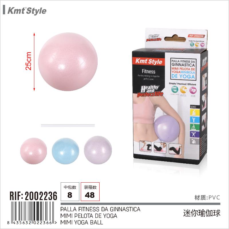 PALLA FITNESS DA GINNASTICA 25CM